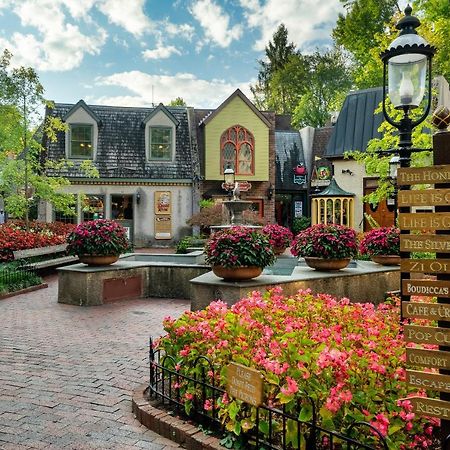 Bearly Gnomey Villa Gatlinburg Exterior photo